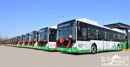 1641803291462482.jpg 5.jpg