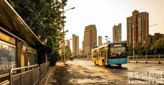 1644456447375977.jpg 2.jpg