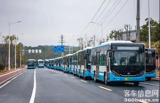 1644975885196218.jpg 4.jpg