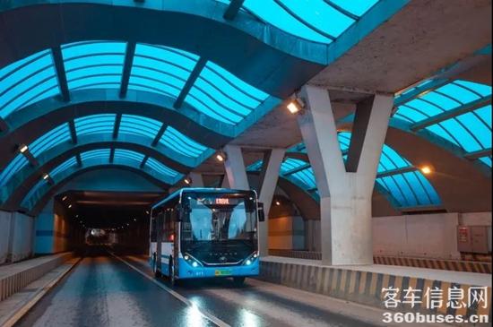 1644975894394384.jpg 5.jpg