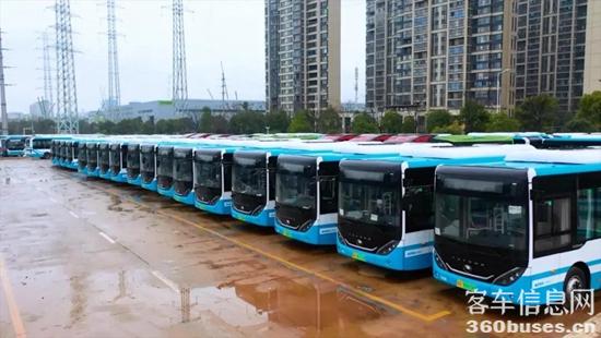 1644975915118714.jpg 6.jpg