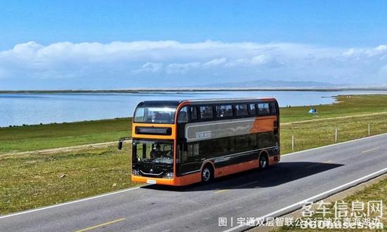 1645666737533923.jpg 9.jpg