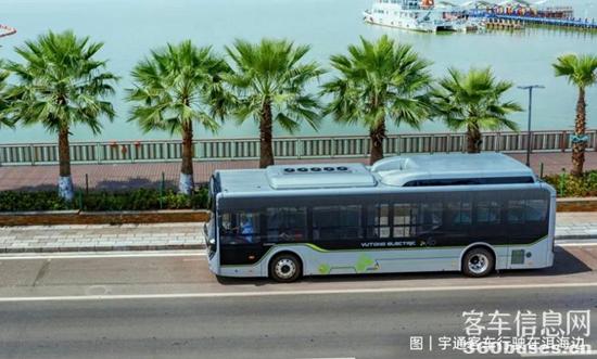 1645666760402766.jpg 10.jpg