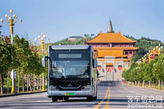 1646962169731796.jpg 10.jpg