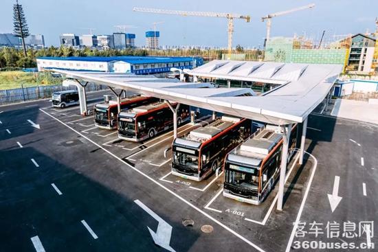 1647481450346493.jpg 5.jpg