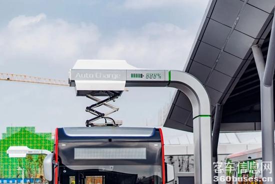 1647481502257176.jpg 7.jpg