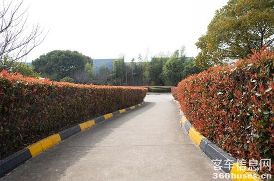 1648433946378118.jpg 4.jpg