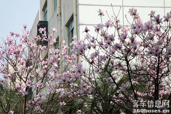 1648434065932278.jpg 9.jpg