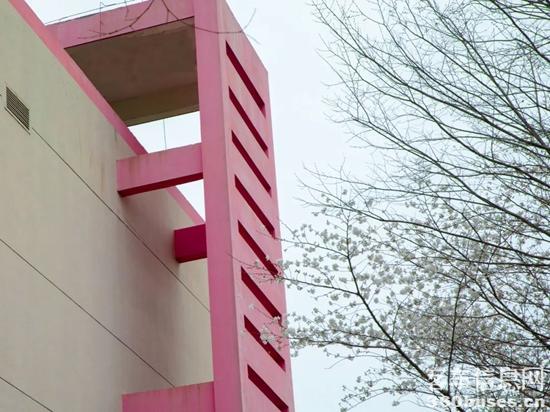 1648434090484197.jpg 10.jpg