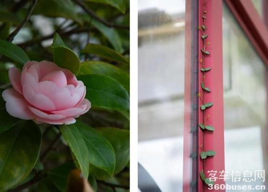 1648434125837399.jpg 11.jpg