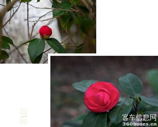 1648434147196197.jpg 12.jpg