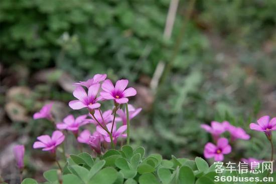 1648434187191144.jpg 13.jpg