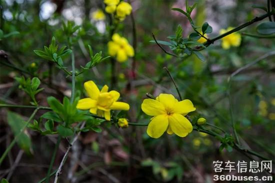 1648434193605442.jpg 14.jpg