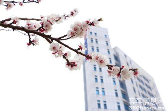 1648777431338202.jpg 2.jpg