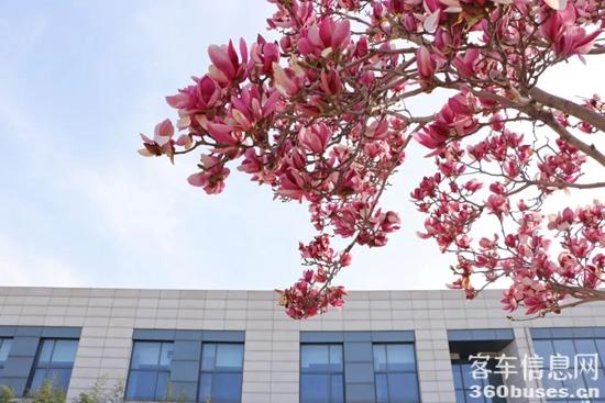 1648777500645173.jpg 4.jpg