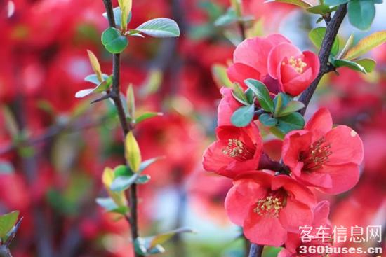 1648777523110055.jpg 5.jpg