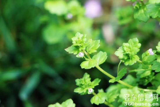 1648777542407624.jpg 6.jpg