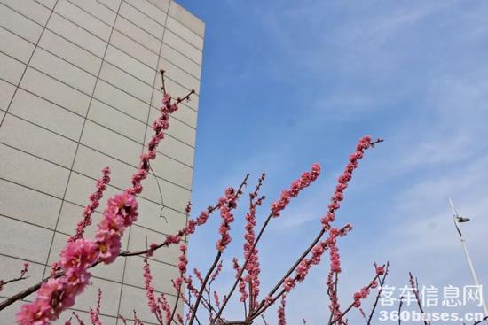 1648777559453790.jpg 7.jpg