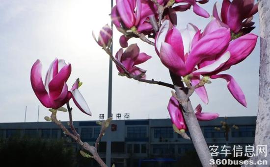 1648777579483056.jpg 8.jpg