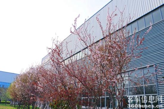 1648777624975170.jpg 10.jpg