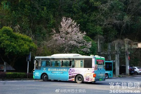 1649209662253179.jpg 4.jpg