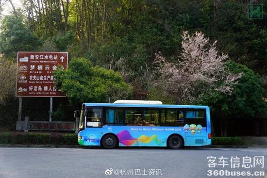 1649209708330072.jpg 6.jpg