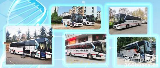 1649295352416096.jpg 2.jpg