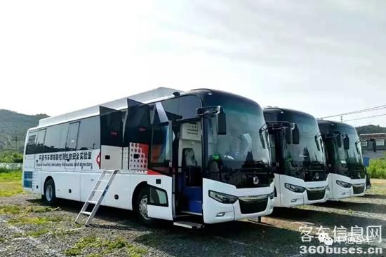 1649295405856569.jpg 10.jpg