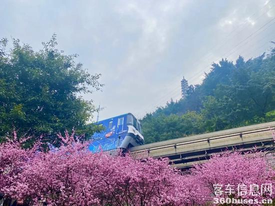 1649403544247872.jpg 1.jpg