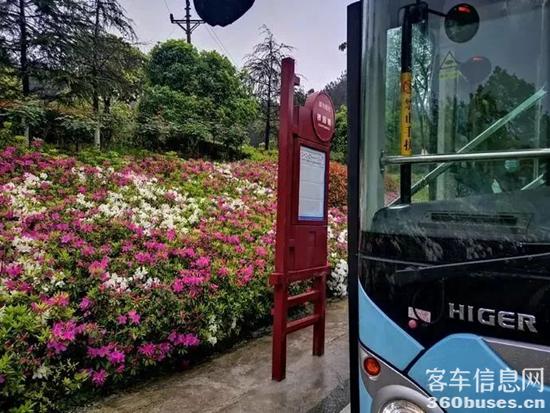 1649403660166333.jpg 4.jpg