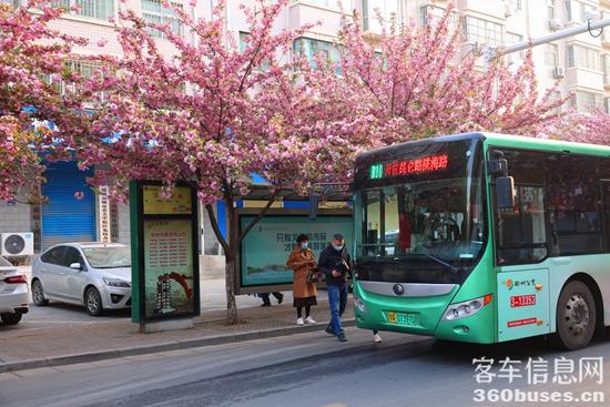 1649732135569762.jpg 1.jpg