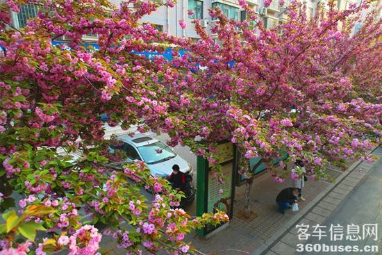 1649732148580638.jpg 3.jpg