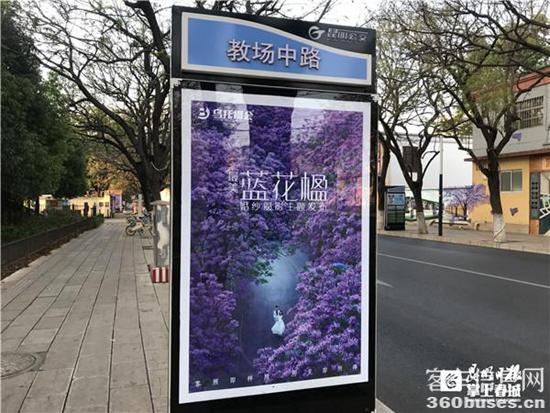 1650789136274598.jpg 2.jpg