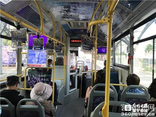 1650789142482378.jpg 3.jpg