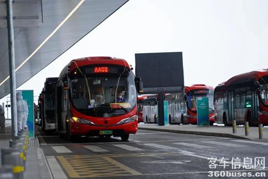 1651111187351908.jpg 1.jpg