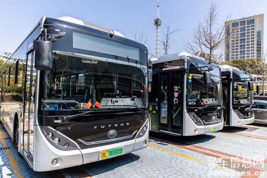 1654050504850887.jpg 15.jpg