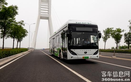 1656049596904226.jpg 3.jpg