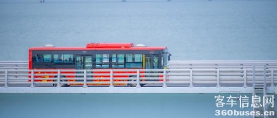 1656380572103492.jpg 10.jpg