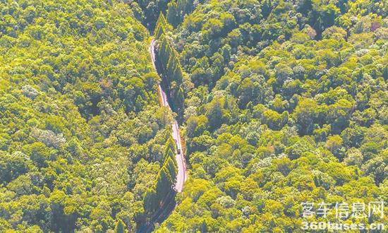 1659057897996282.jpg 7.jpg