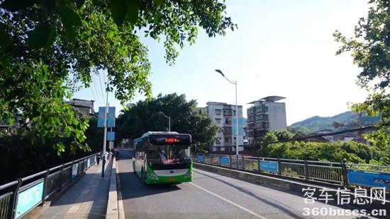 1663037340243409.jpg 8.jpg