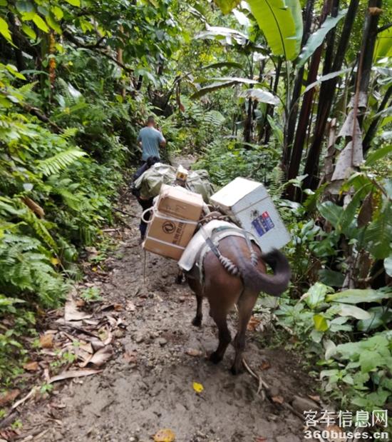 1664241302600745.jpg 2.jpg