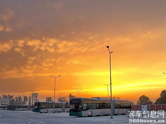 1666943741560246.jpg 4.jpg