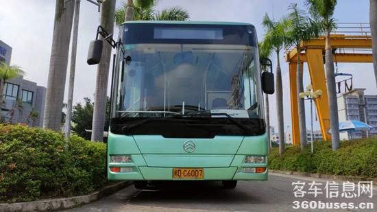 1666943787324106.jpg 10.jpg