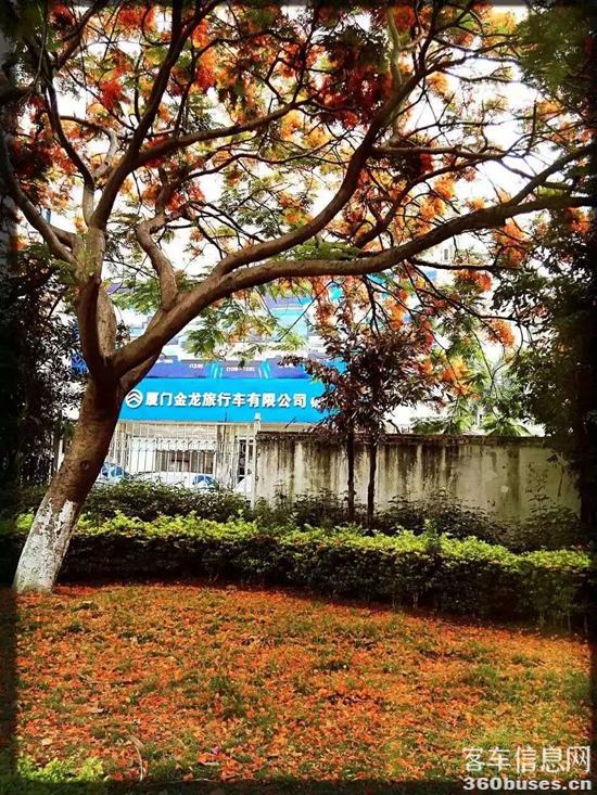 1666943811185962.jpg 13.jpg