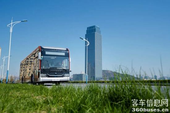 1667265584506678.jpg 1.jpg