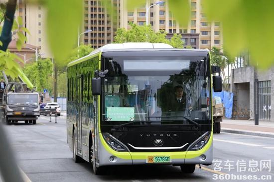 1667265747647446.jpg 10.jpg