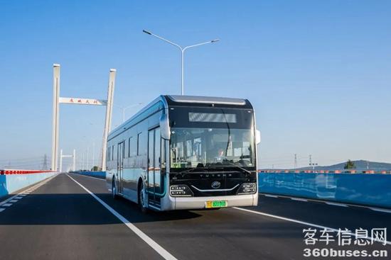 1667265771407884.jpg 11.jpg