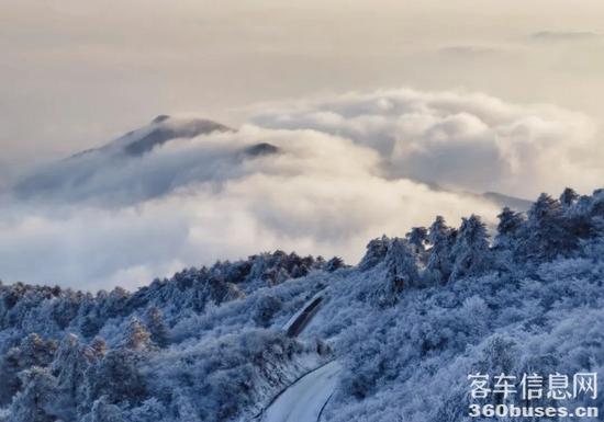 1672712673140187.jpg 4.jpg