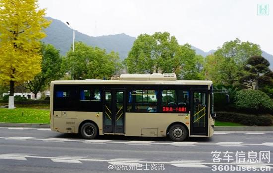 1672712785199064.jpg 7.jpg