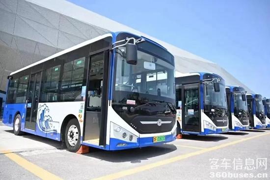 1677202007291236.jpg 3.jpg